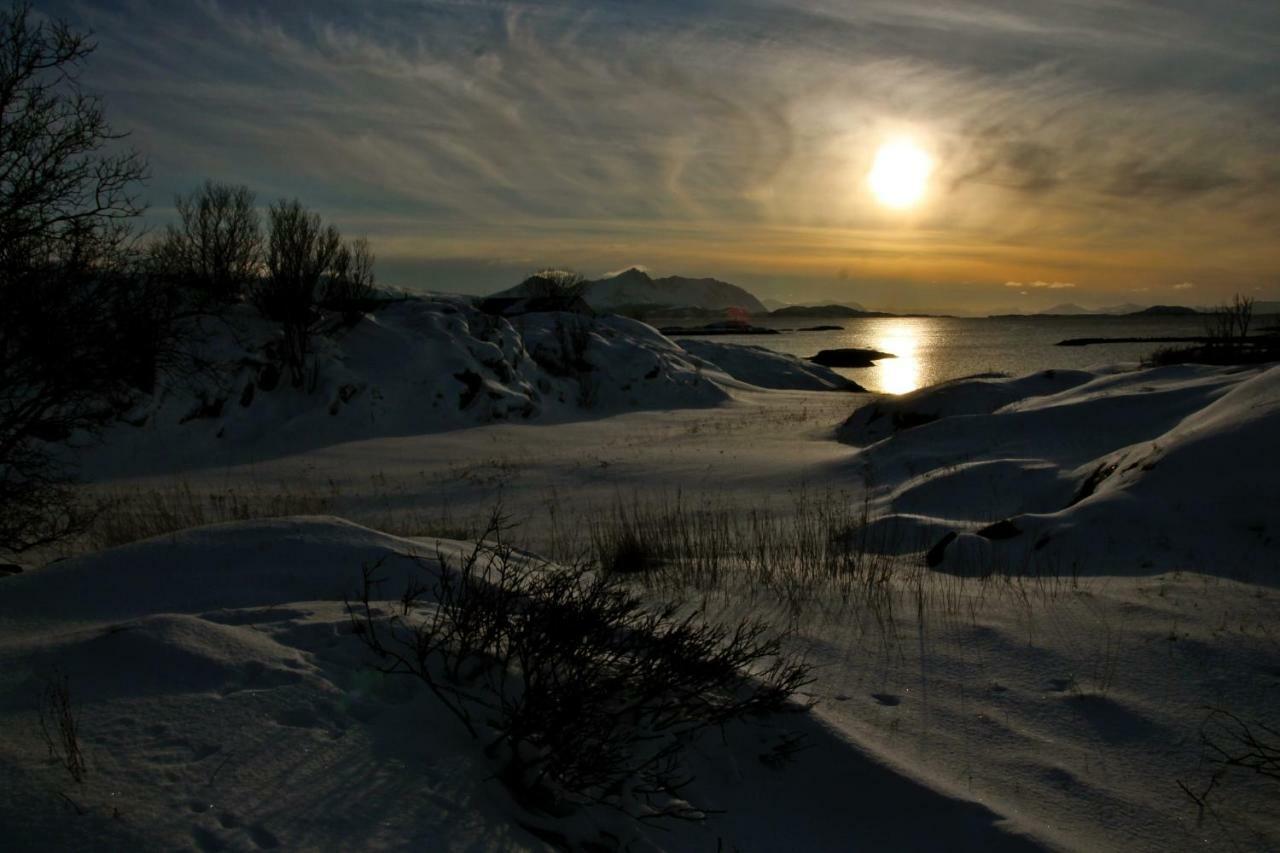 Superior Cottage With Sea View In Senja Senjehesten Екстериор снимка